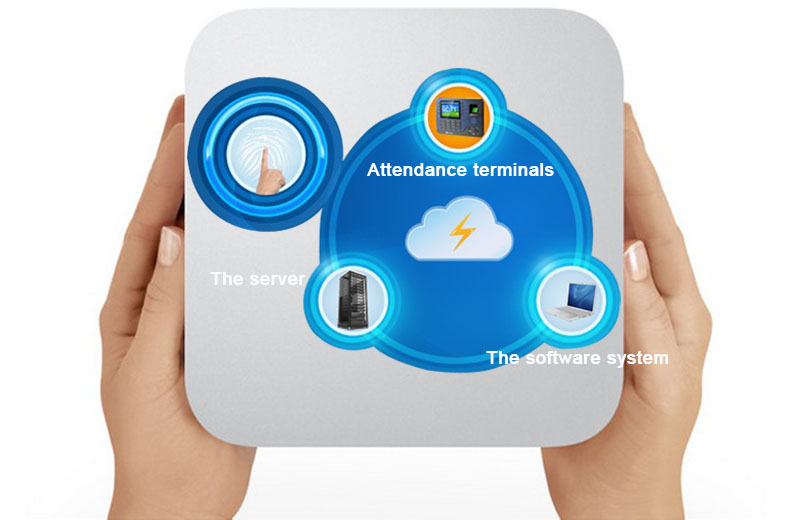 time attendance management system software